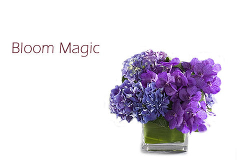 "Bloom Magic"