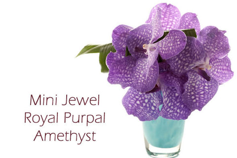 "Mini-Jewel Royal Purple Amethyst"